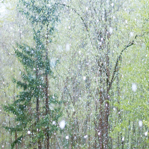 揉我的胸 ～阿～
